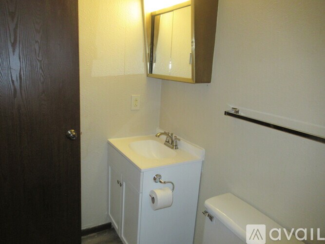 A bathroom with a sink, mirror, and toilet paper.