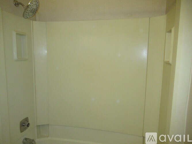 A white bathroom with a shower head and a toilet paper holder.