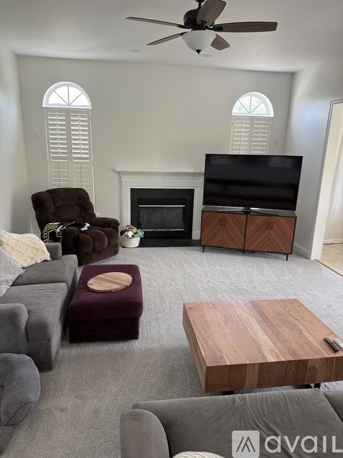 A living room with a fireplace and a television.