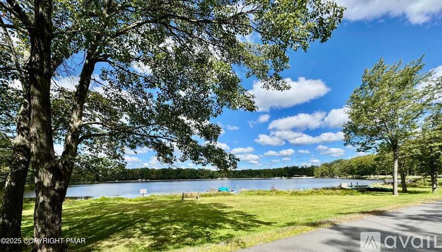 A serene park with a lake, trees, and a clear sky.