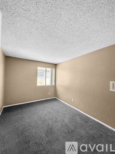 A room with a carpeted floor and a window.