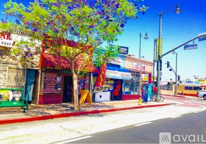 A street view with a tree in the foreground and a liquor store in the background.