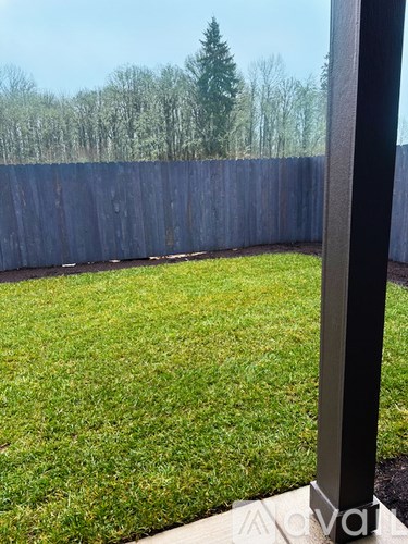 A backyard with a wooden fence and green grass.