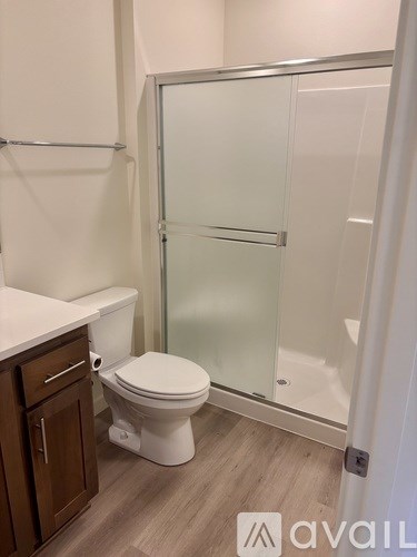 A white toilet sits in a bathroom with a walk-in shower.