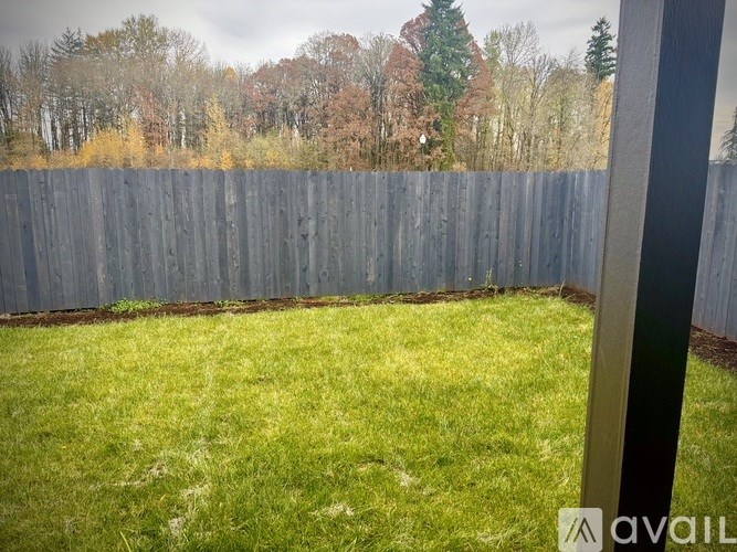 A backyard with a wooden fence and green grass.