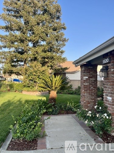 A tree in a yard with a house number 1520 on the right.