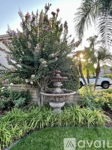 A garden with a fountain and flowering plant.