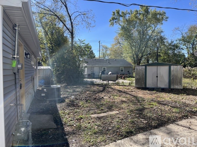 A backyard with a shed and a tree.