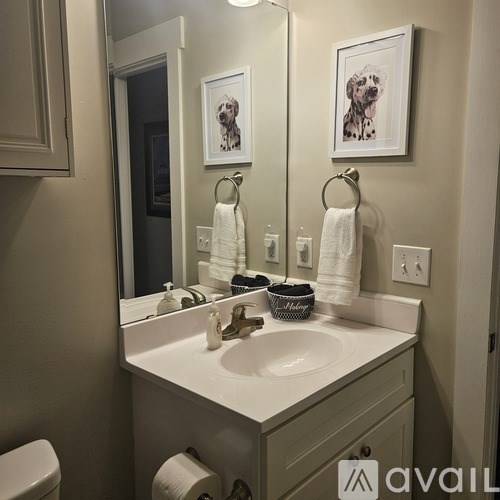 A bathroom with a white sink and a mirror above it.