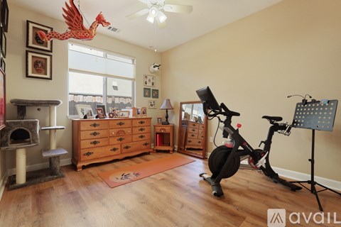 A room with a wooden floor, a red dragon decoration, a bicycle, a cat tree, a dresser, a lamp, and a music stand.