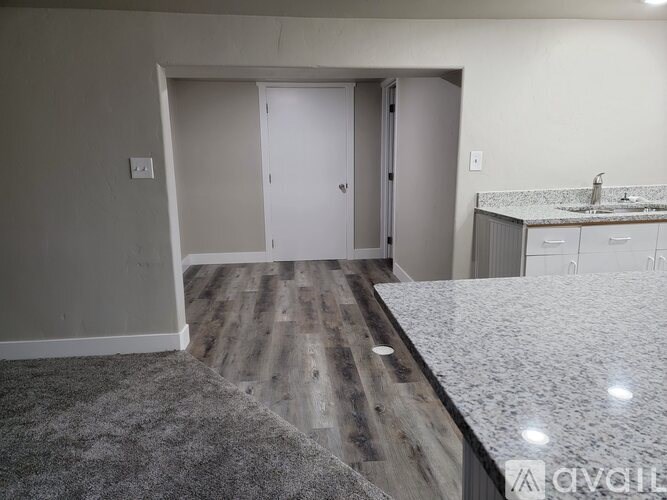 A room with a white door and a grey countertop.