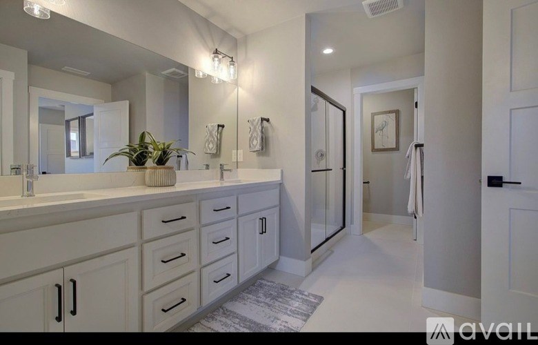 A bathroom with a mirror, sink, and a rug on the floor.