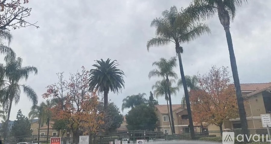 A cloudy day at a residential area with palm trees.