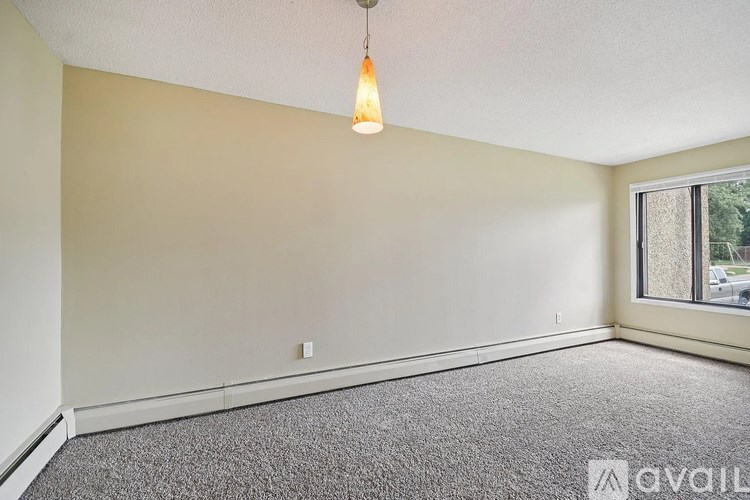 A room with a carpeted floor and a window.