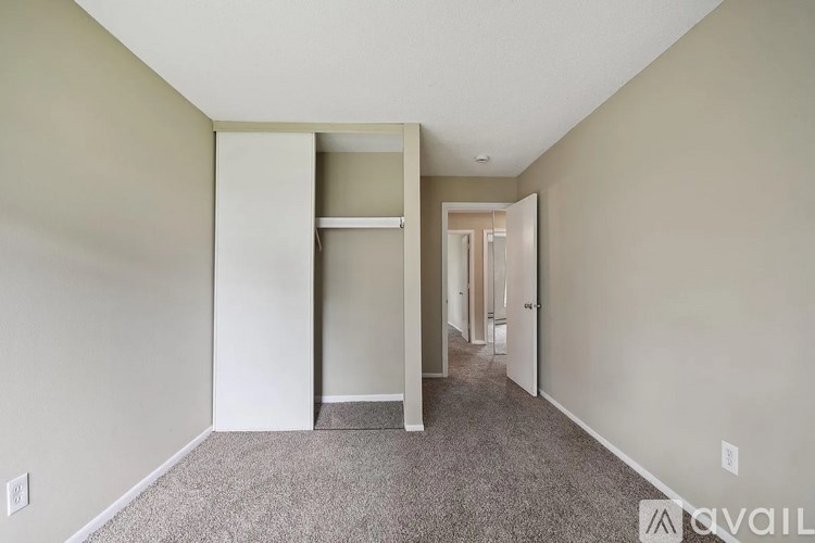 A room with a carpeted floor and a closet with a door open.