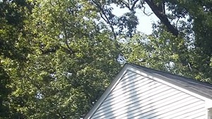 43 Saybrooke Ct 1-3 Beds Apartment, Townhouse for Rent - Photo Gallery 4