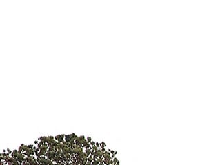 The Meadows Apartments 2725 Forrester Court Lithia Springs Ga