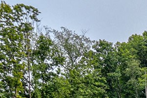 Philippi city hookup sites Philippi city hookup sites