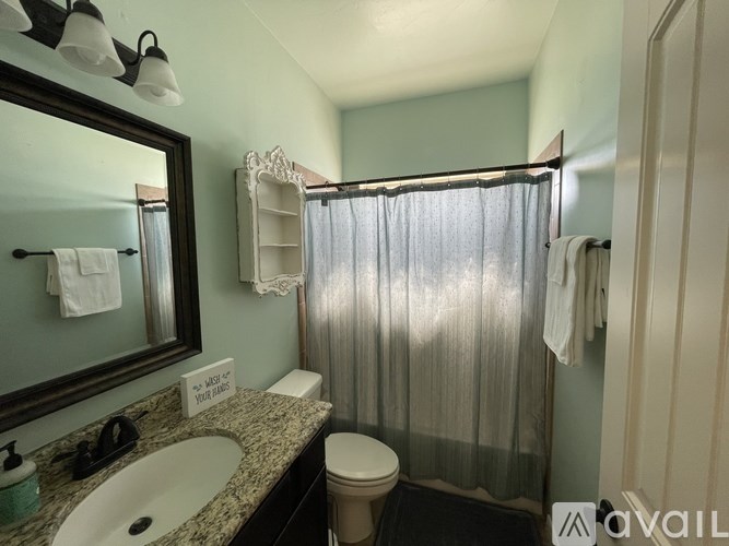 A bathroom with a toilet, sink, and shower curtain.
