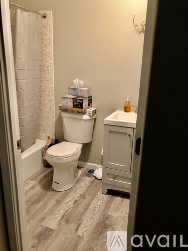 A bathroom with a toilet, a cabinet, and a shower curtain.