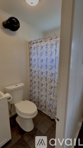 A white toilet sits next to a shower curtain in a bathroom.