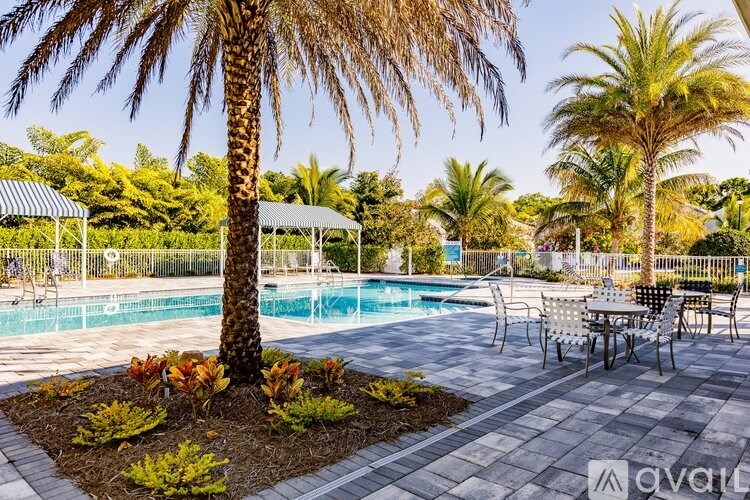 A palm tree is in the foreground of a pool area.