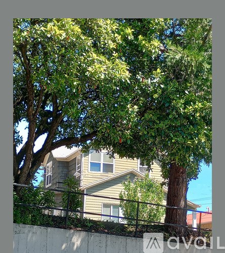 A tree with green leaves is in front of a house.