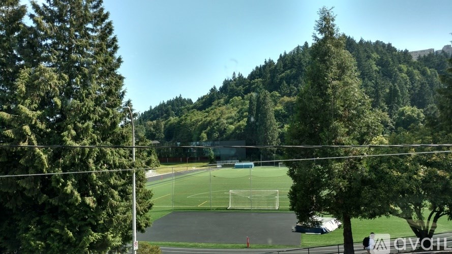 A view of a green field with trees and a fence in the background.