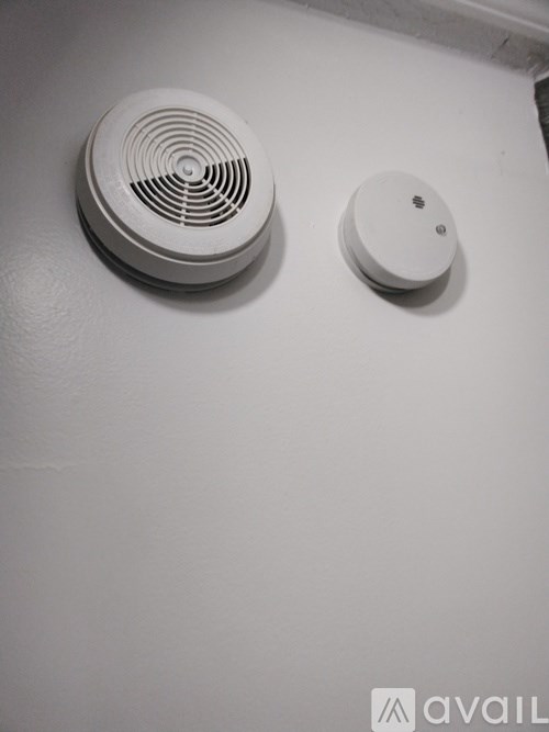 A smoke detector and a carbon monoxide detector are mounted on a wall.