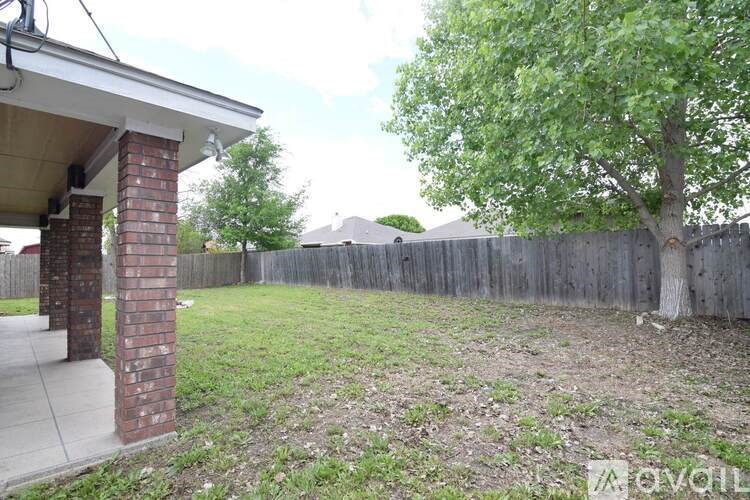 A backyard with a tree and a wooden fence.