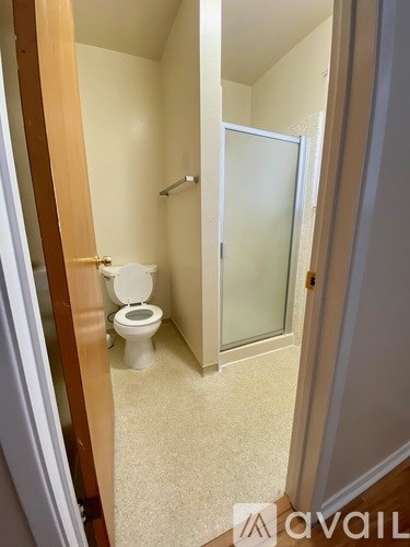 A bathroom with a toilet and a glass door.