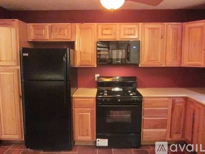 A black refrigerator and stove in a kitchen with wooden cabinets.