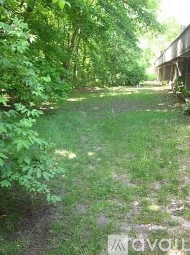 A path through a lush green forest with a wooden structure on the side.