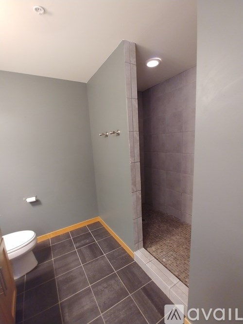 A bathroom with a toilet and a walk in shower.