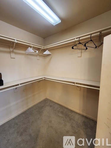 A room with a grey carpet and white walls.