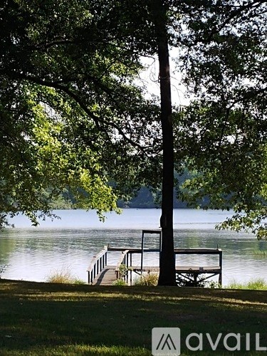 A tree stands in front of a lake with a dock in the background.