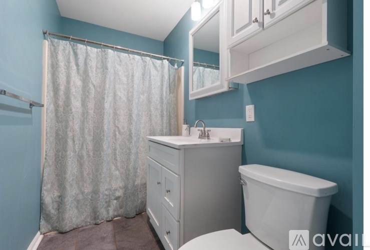 A bathroom with a toilet, sink, and shower curtain.