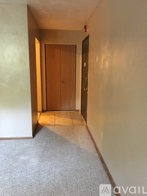 A hallway with a carpeted floor and a wooden door.