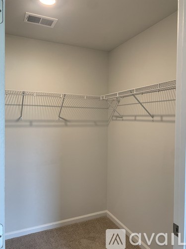 Empty white closet with shelves and a carpeted floor.