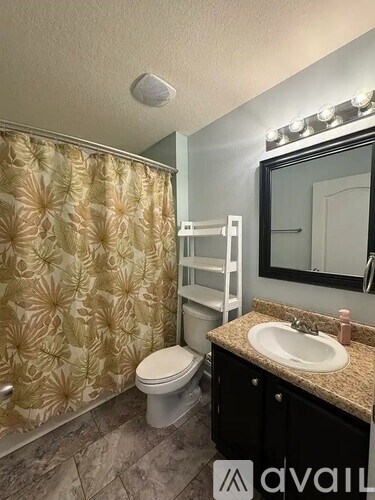 A bathroom with a toilet, sink, and shower curtain.