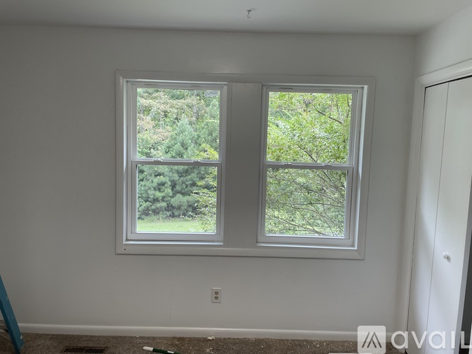 A room with two windows and a carpeted floor.