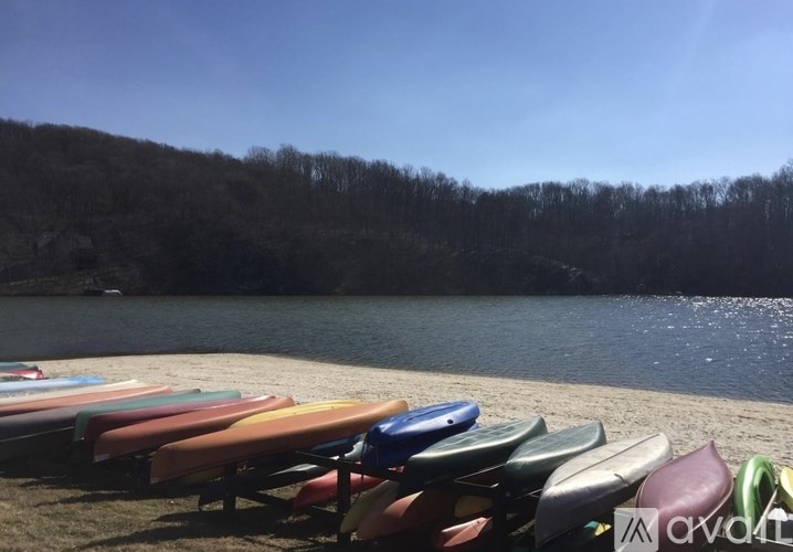 A row of colorful kayaks are lined up on the shore of a lake.