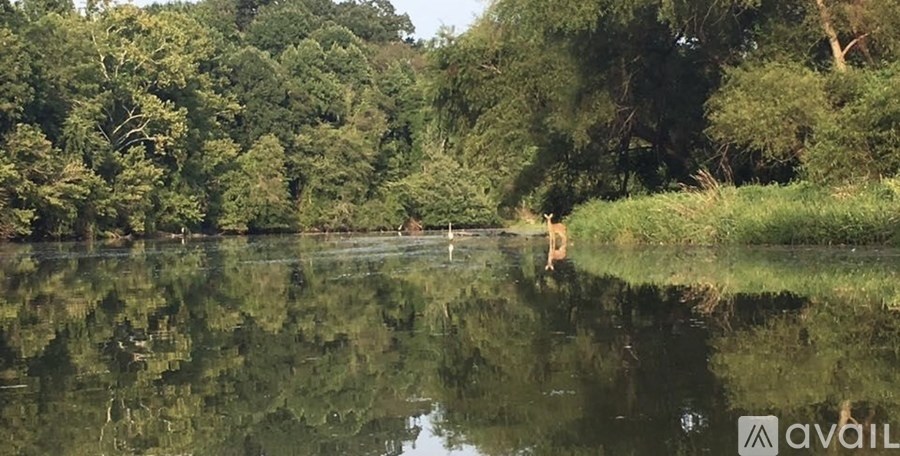 A calm river reflects the surrounding trees and sky.