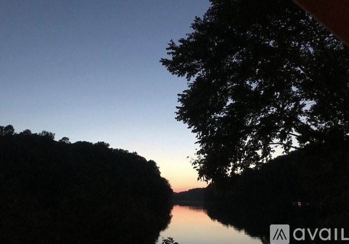 A tree silhouette against a sunset over a body of water.