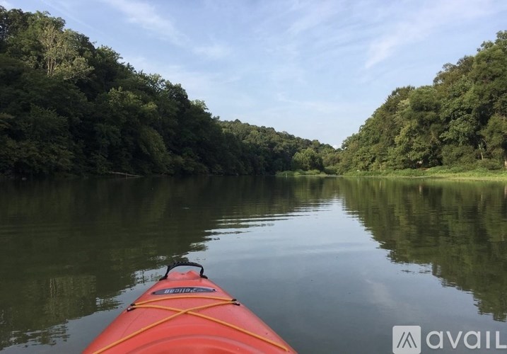 A red kayak is on a calm river with trees on both sides.