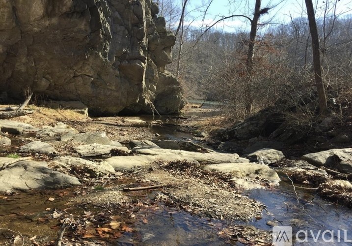 A rocky stream bed with a waterfall and trees in the background.