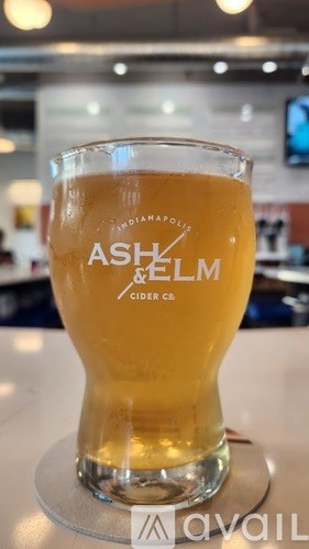 A glass of beer with the label "Ash Elm" on it.