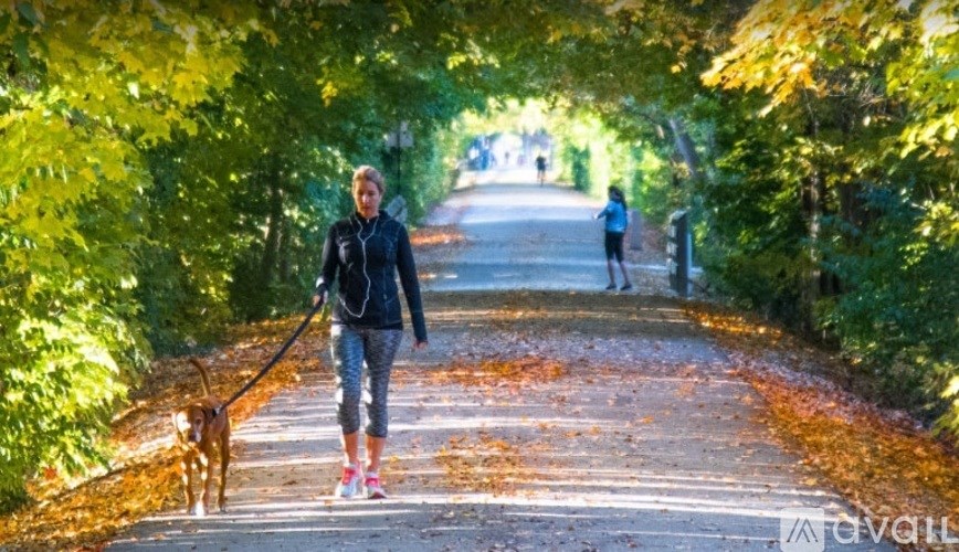 A woman walking her dog on a leash in a park.