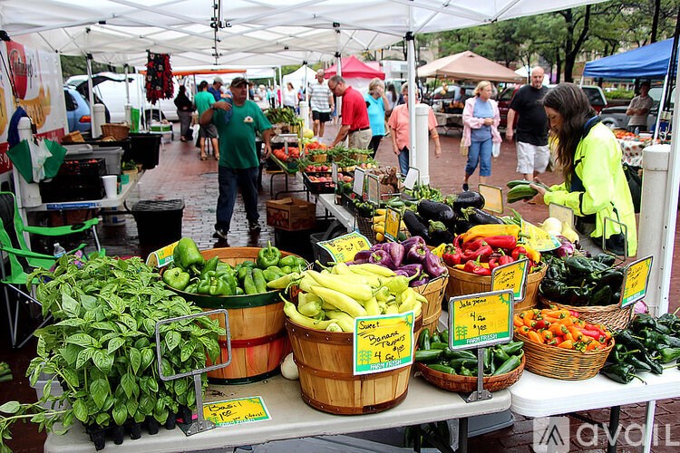 A market with a variety of vegetables on display.