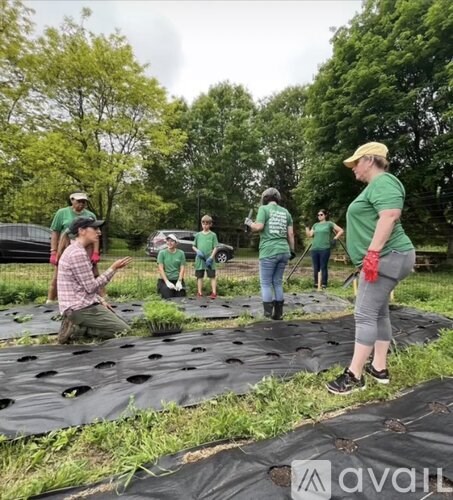 A group of people in green shirts are standing on a black tarp with holes in it.